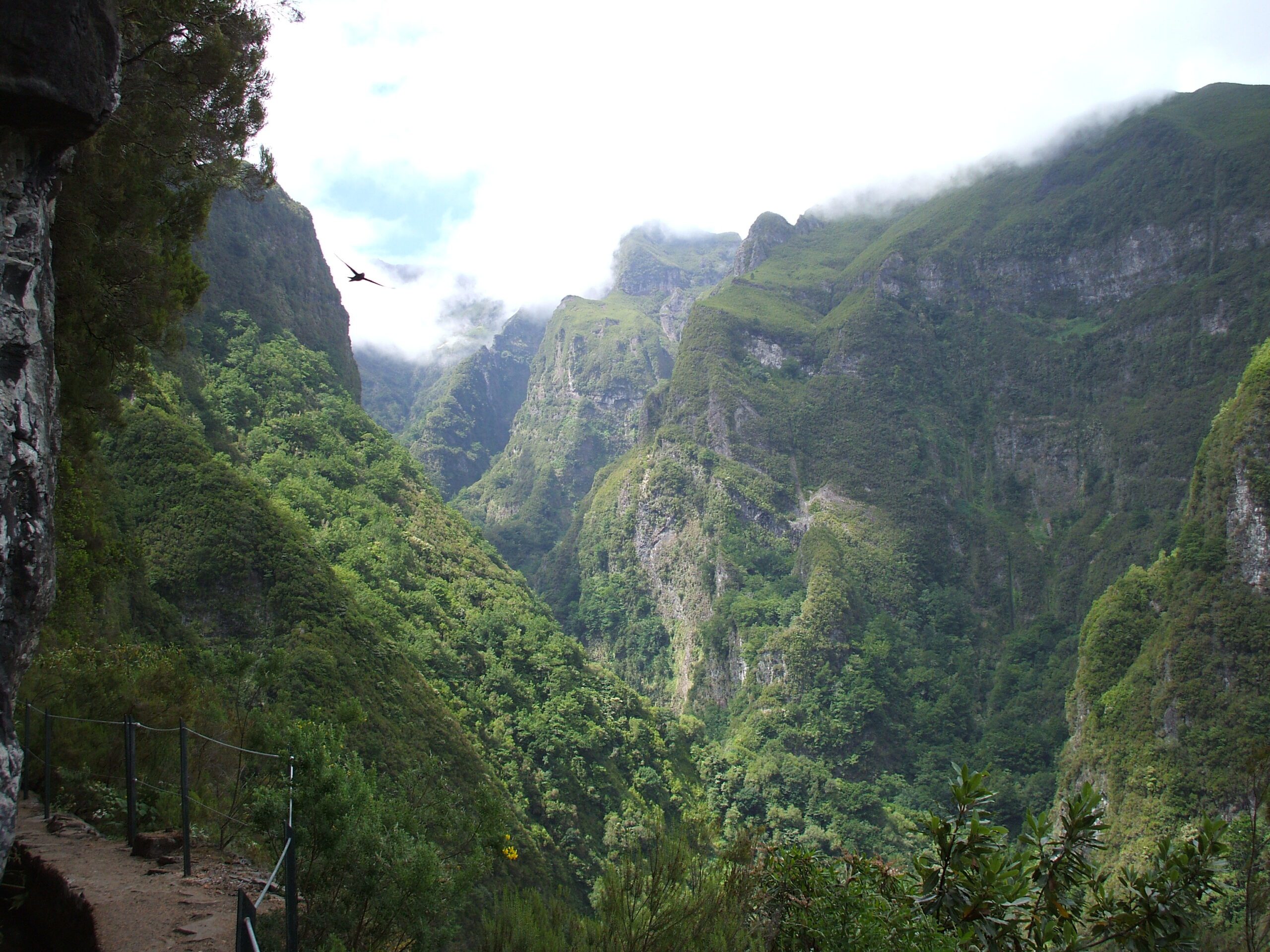 wild nature and orgone